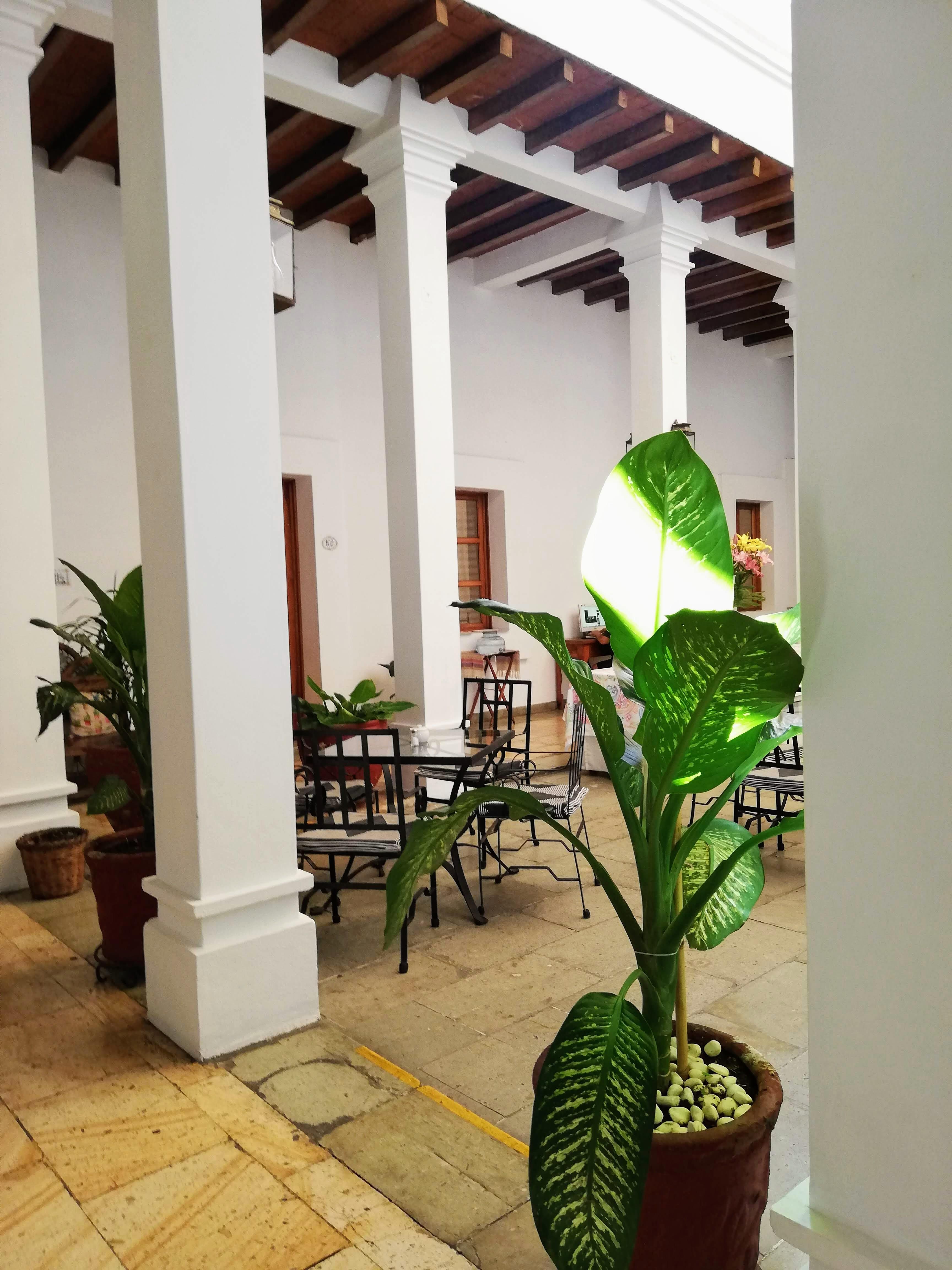 Hotel Aitana Oaxaca Kültér fotó